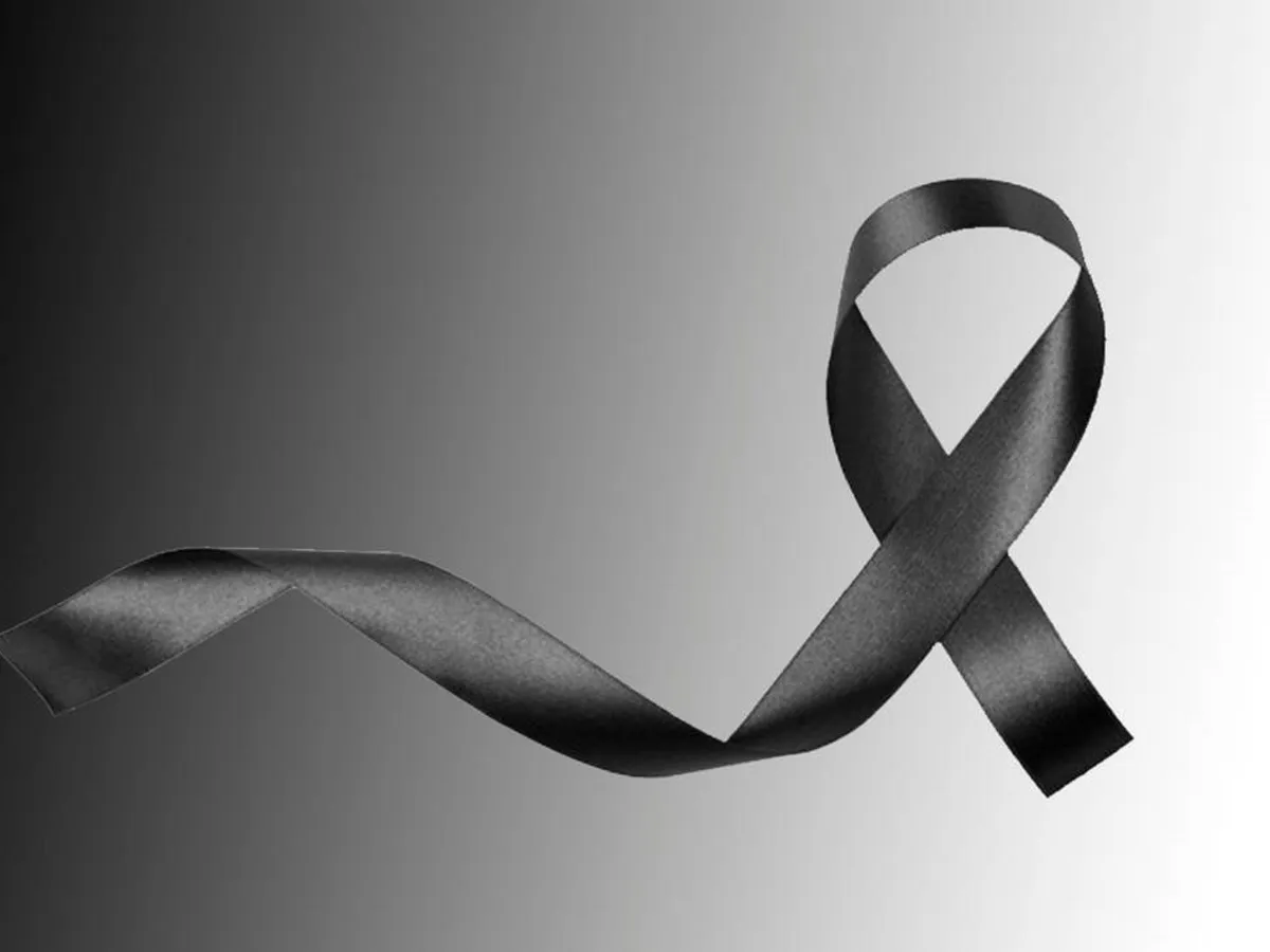 multimedia.normal.a648a25382b86f4a.bXVsdGltZWRpYS5ub3JtYWwuYThjNTFhMzYzZjFiZTFfbm9ybWFsLndlYnA=