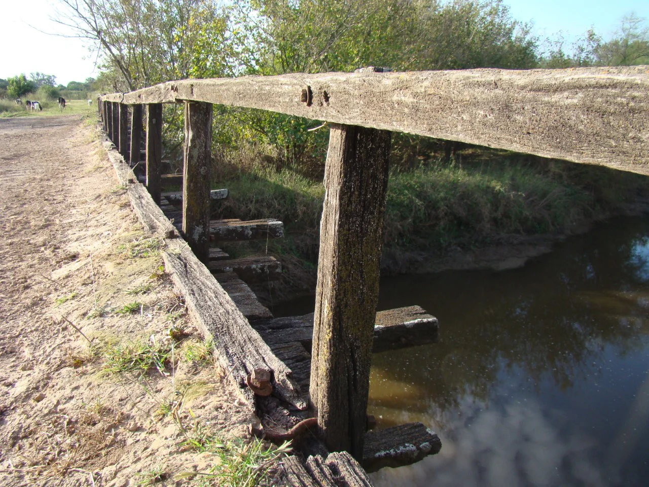 657079363_10237304628573683_5416947368438765318_n