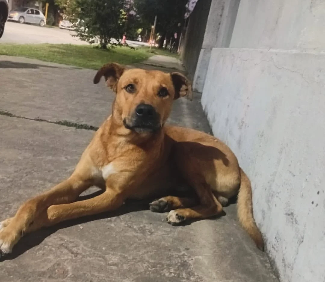 Screenshot_20260325_214855_Instagram